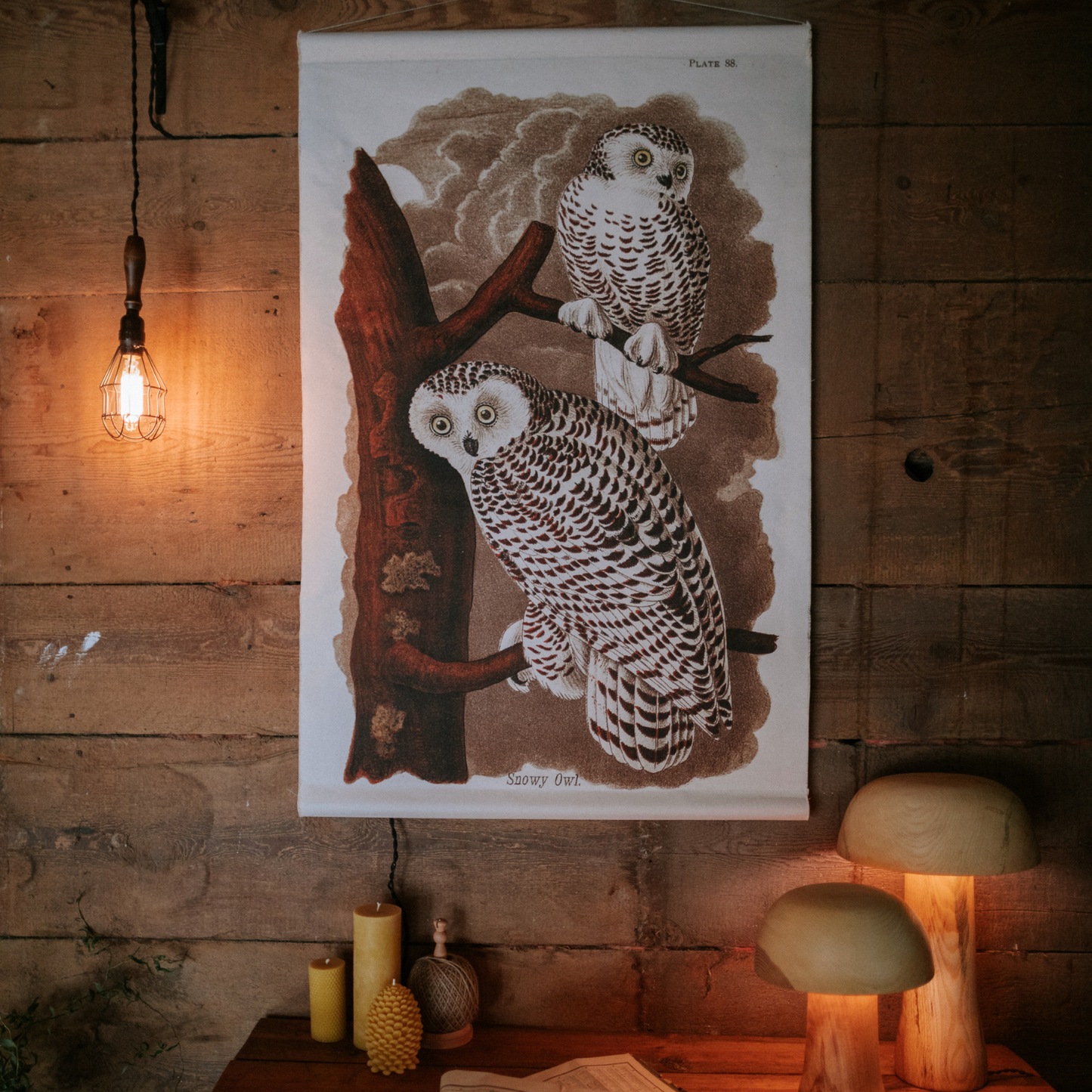 Snowy Owl - Canvas Wall Hanging
