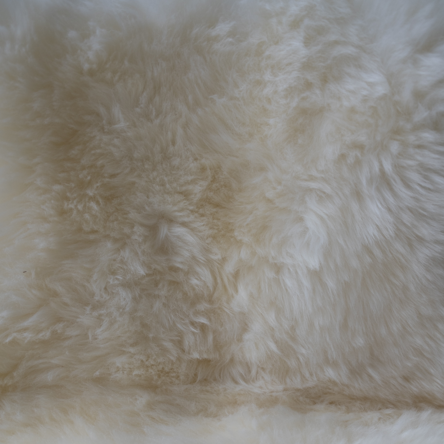 New Zealand Natural Sheepskin Mid Length Sheepskin