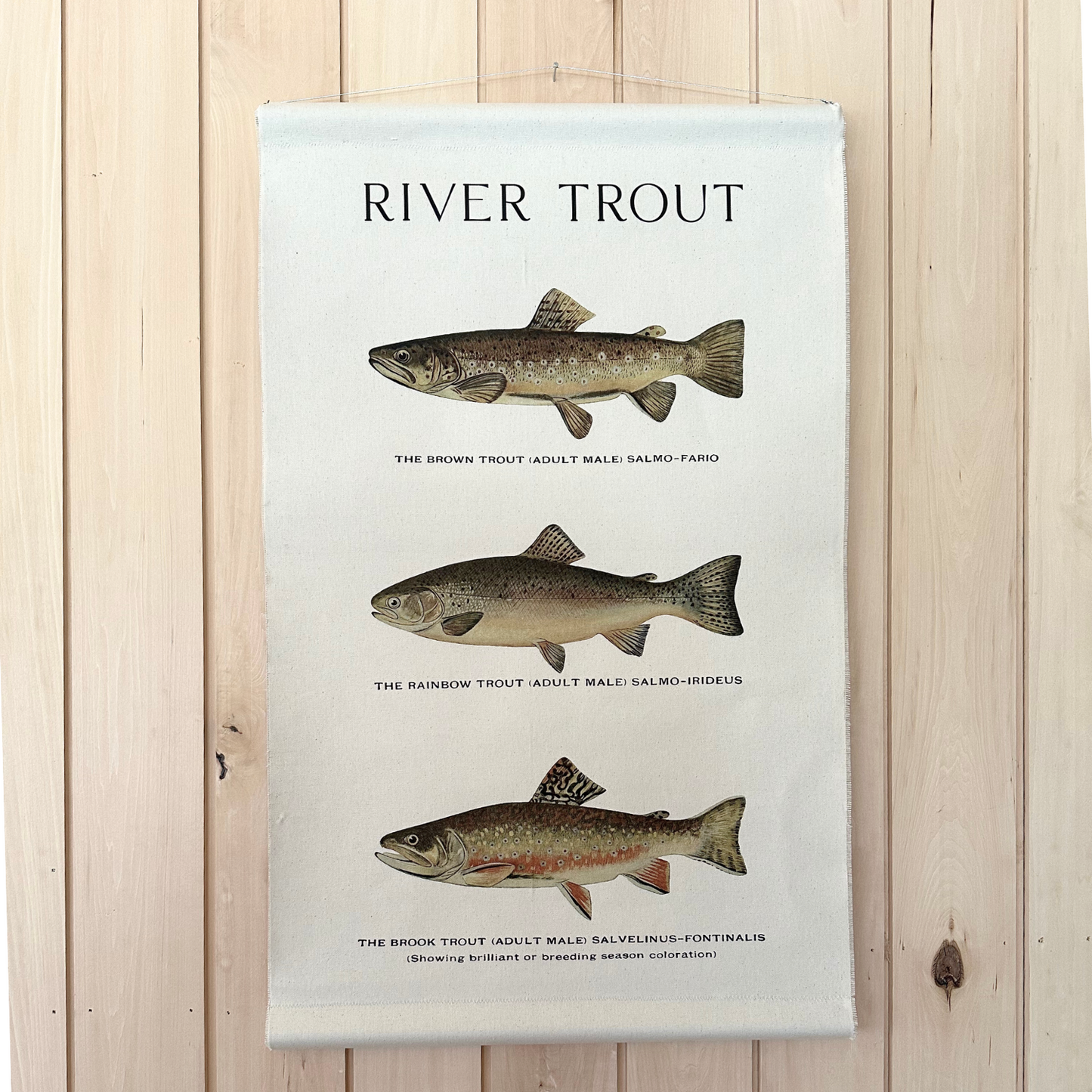 Canvas Wall Hanging - River Trout