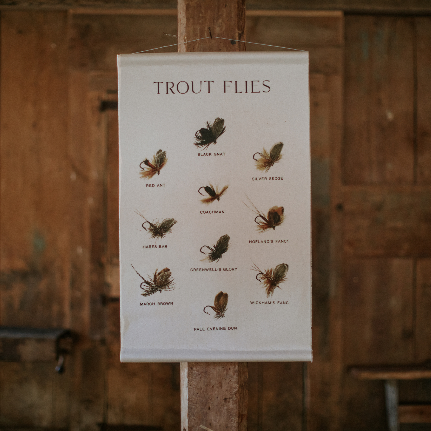 Trout Flies - Canvas Wall Hanging