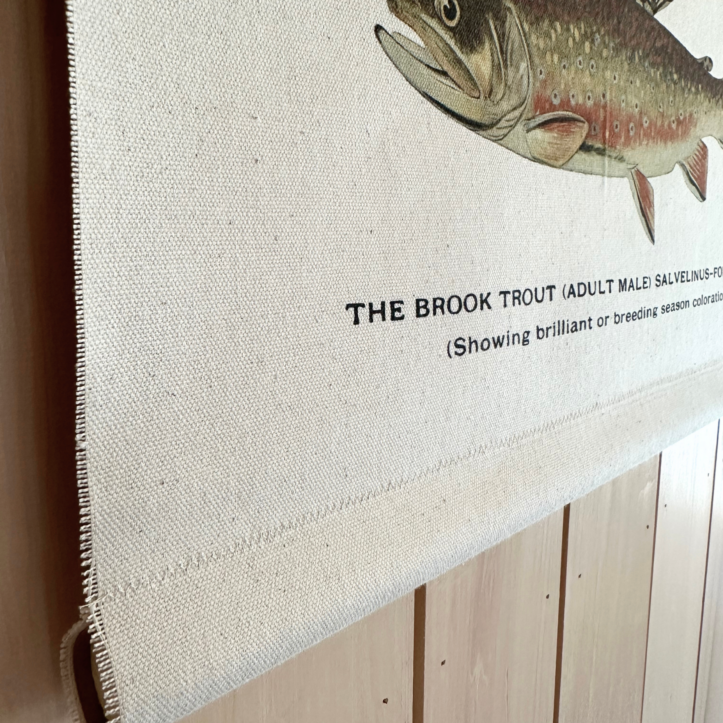 Canvas Wall Hanging - River Trout