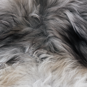 Icelandic Natural Grey Long Haired Sheepskin