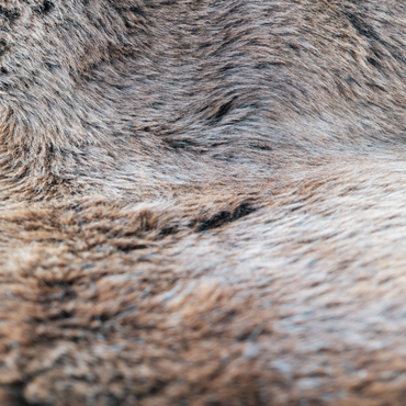Icelandic Mid Length Brown/Black Sheepskin