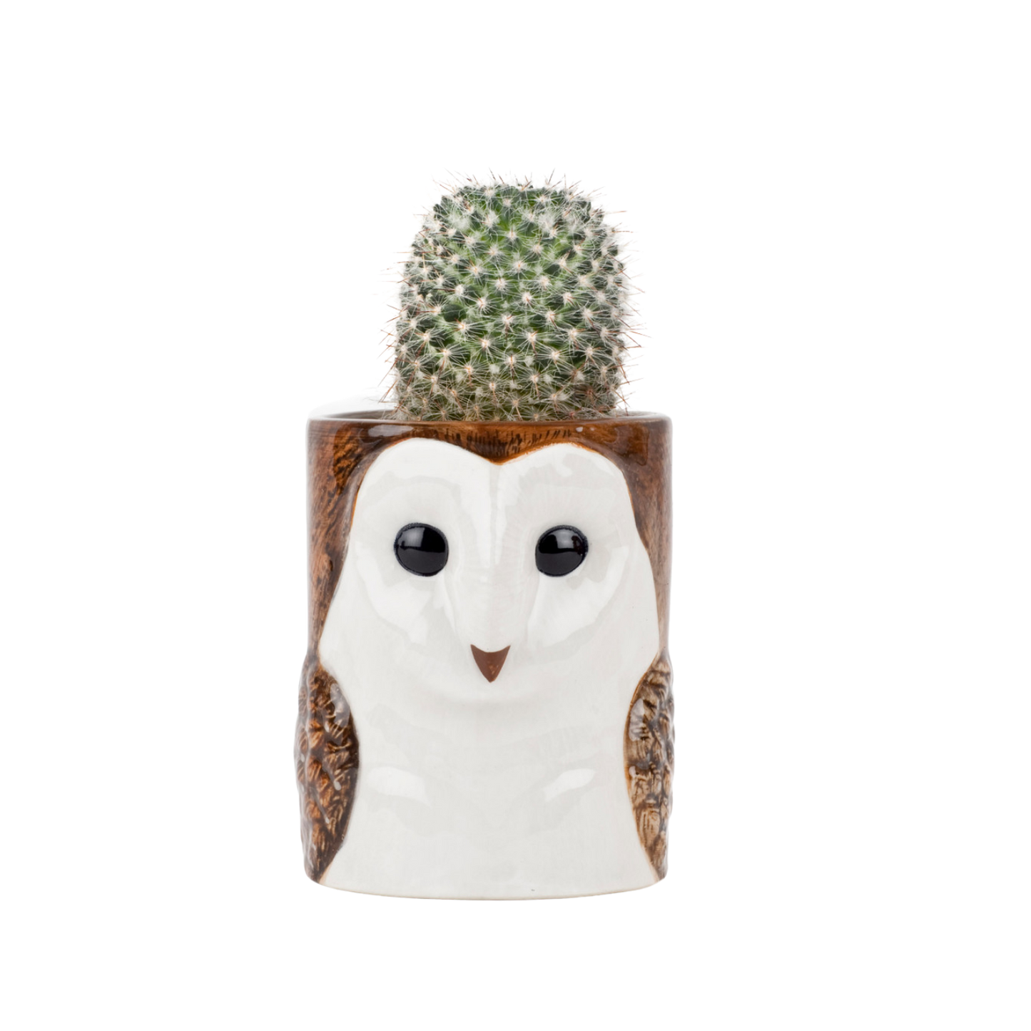 Barn Owl Pencil Pot