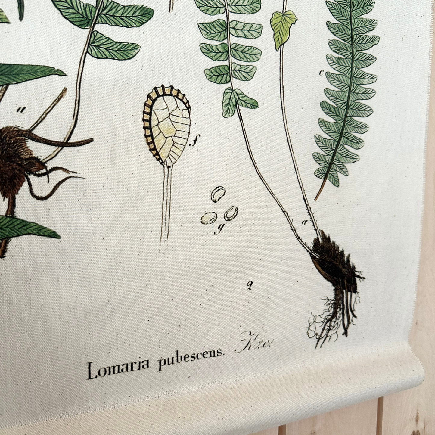 Felt Fern - Canvas Wall Hanging
