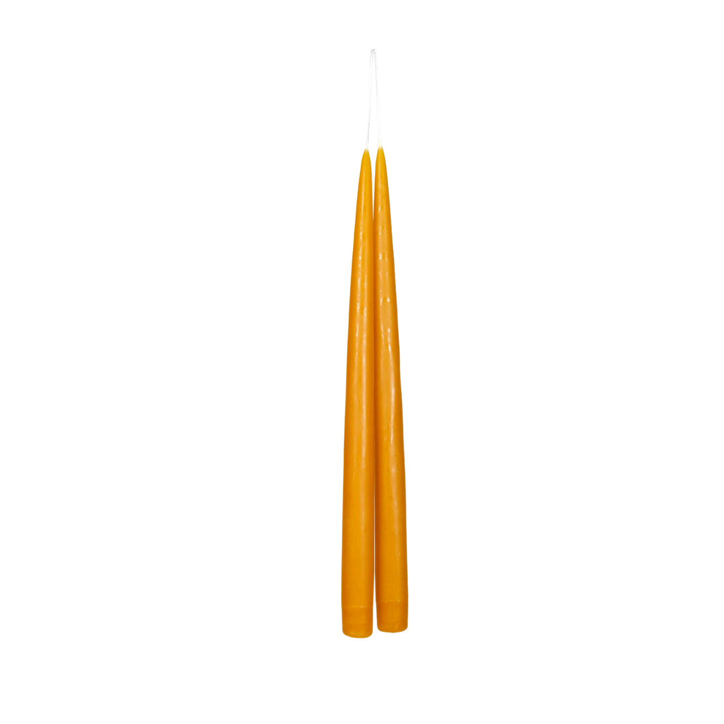 13" Taper Candles (Pair)