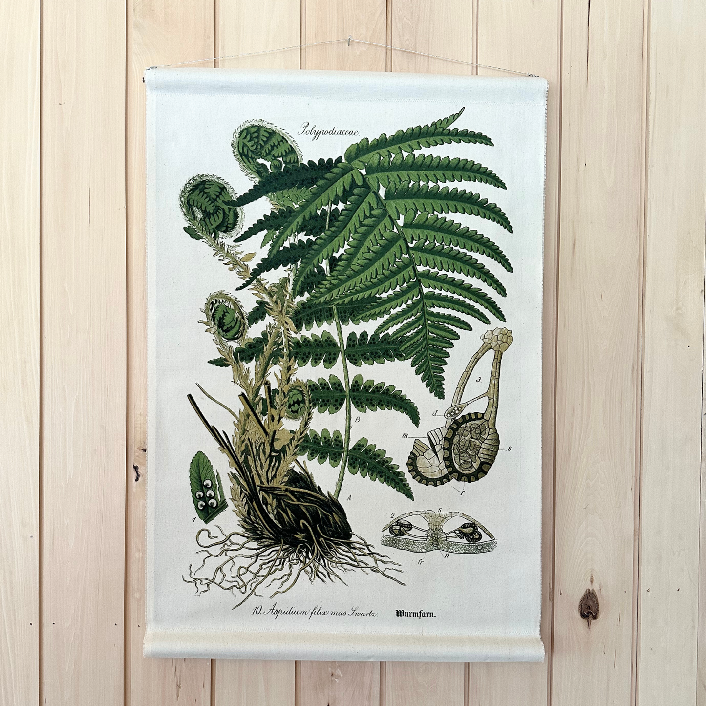 Fiddle Leaf Fern - Canvas Wall Hanging