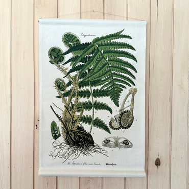 Fiddle Leaf Fern - Canvas Wall Hanging