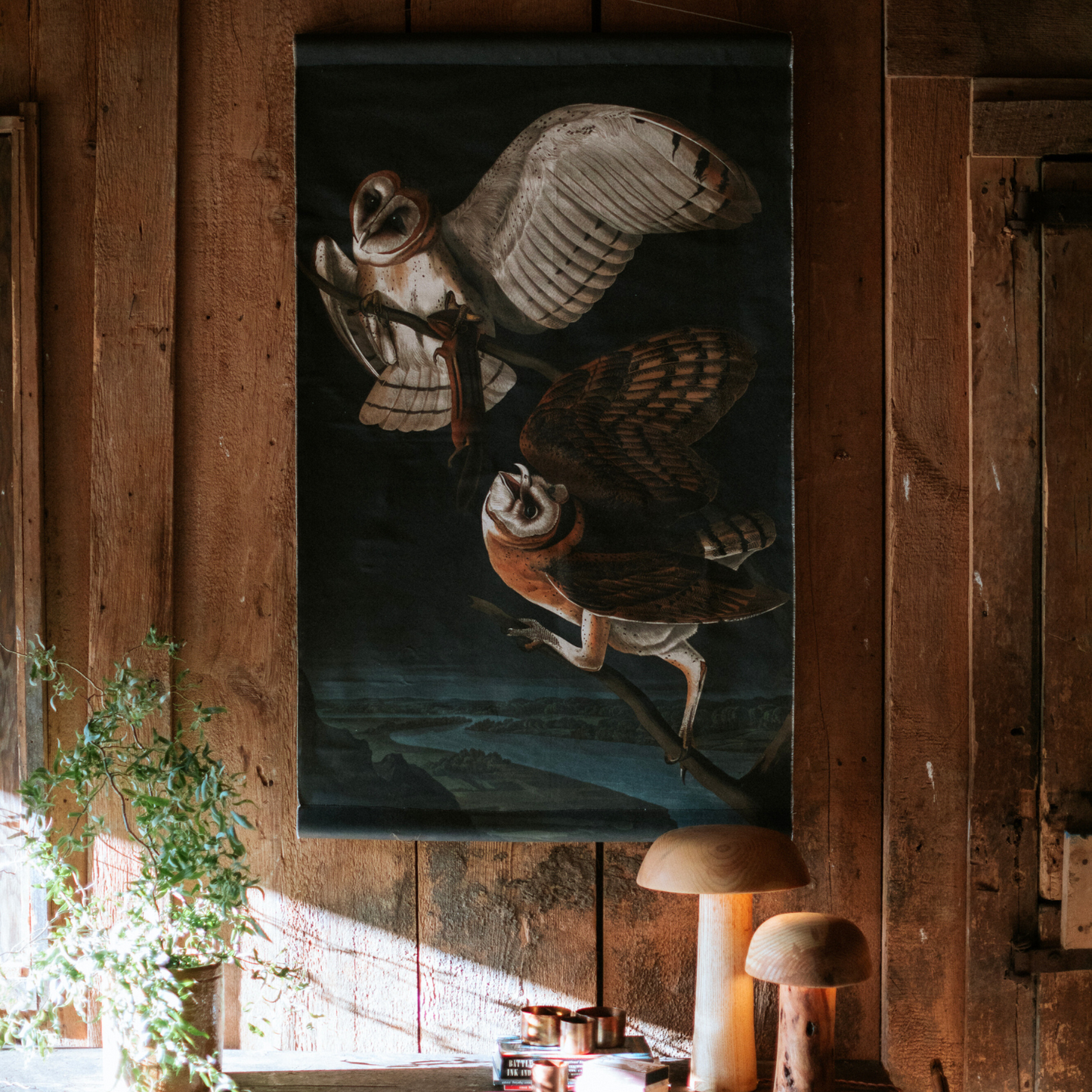 Barn Owl - Canvas Wall Hanging