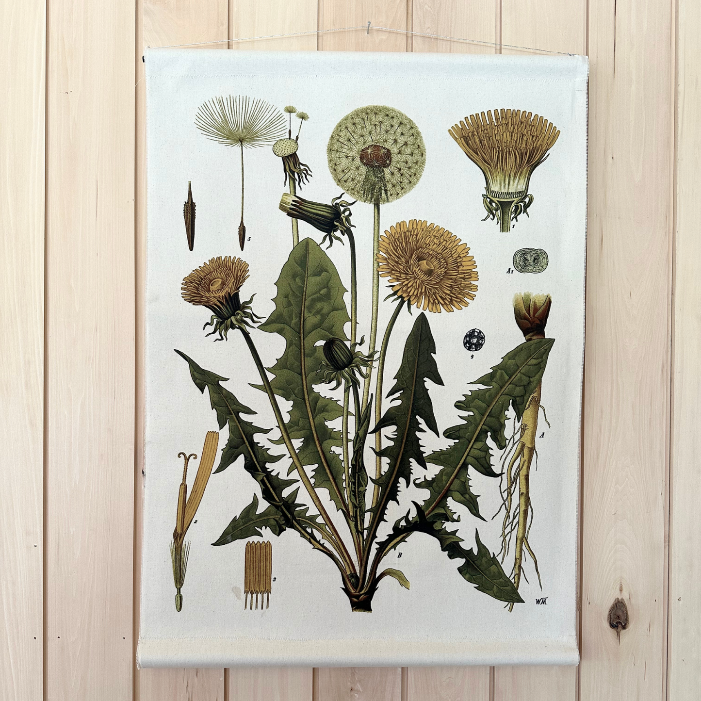 Dandelion - Canvas Wall Hanging