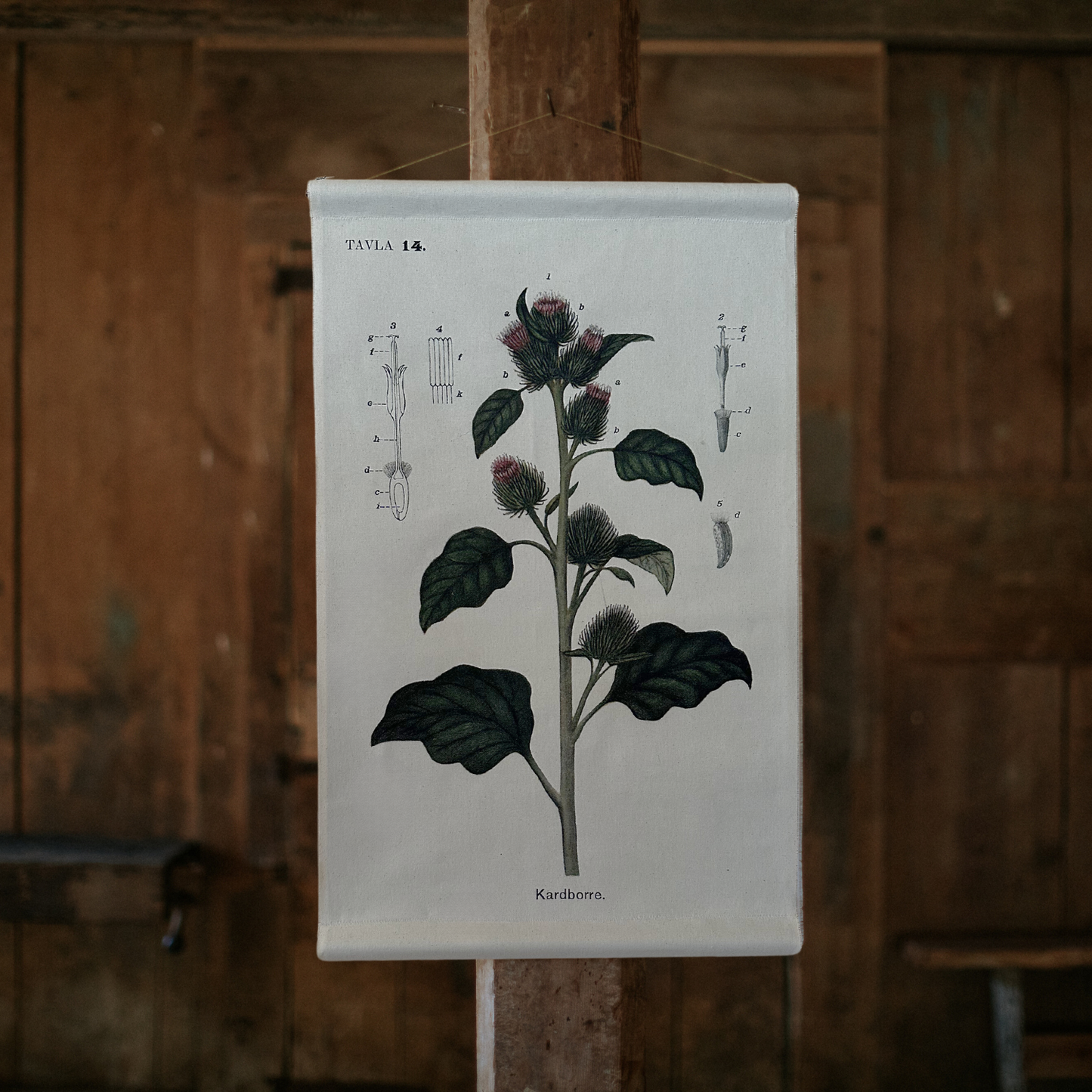 Burdock Flower - Canvas Wall Hanging