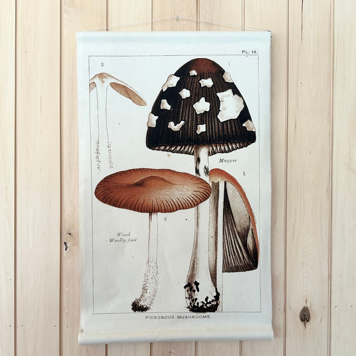 Magpie Mushroom - Canvas Wall Hanging