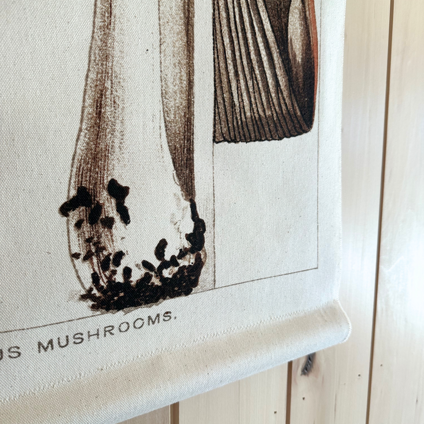 Magpie Mushroom - Canvas Wall Hanging