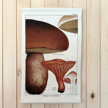 Bolete Mushroom - Canvas Wall Hanging