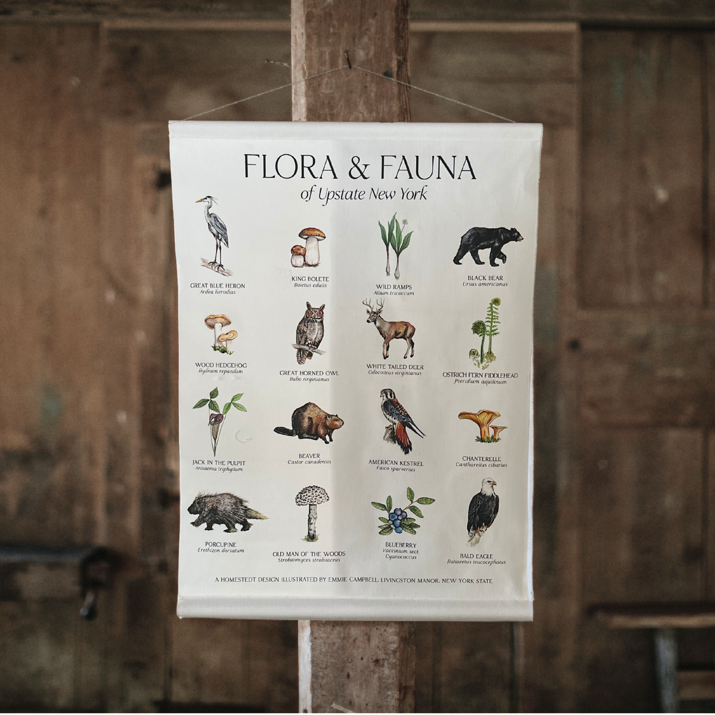 Flora and Fauna of Upstate New York Wall Hanging Canvas Print