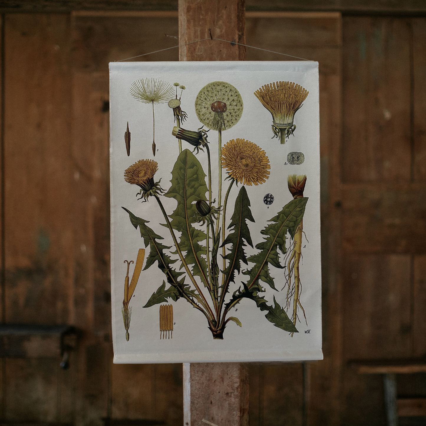 Dandelion - Canvas Wall Hanging