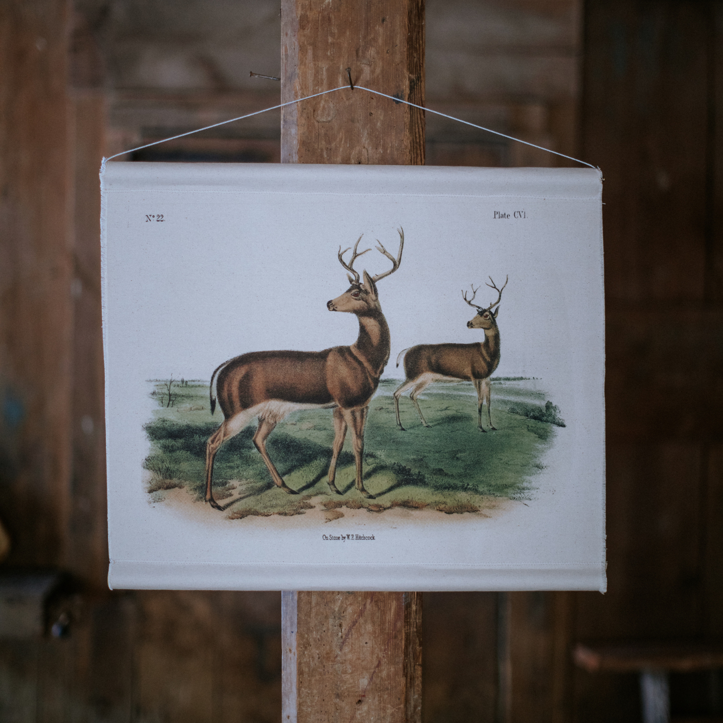 Canvas Wall Hanging - Deer
