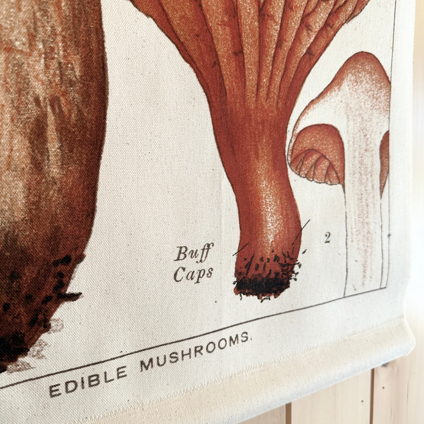 Bolete Mushroom - Canvas Wall Hanging