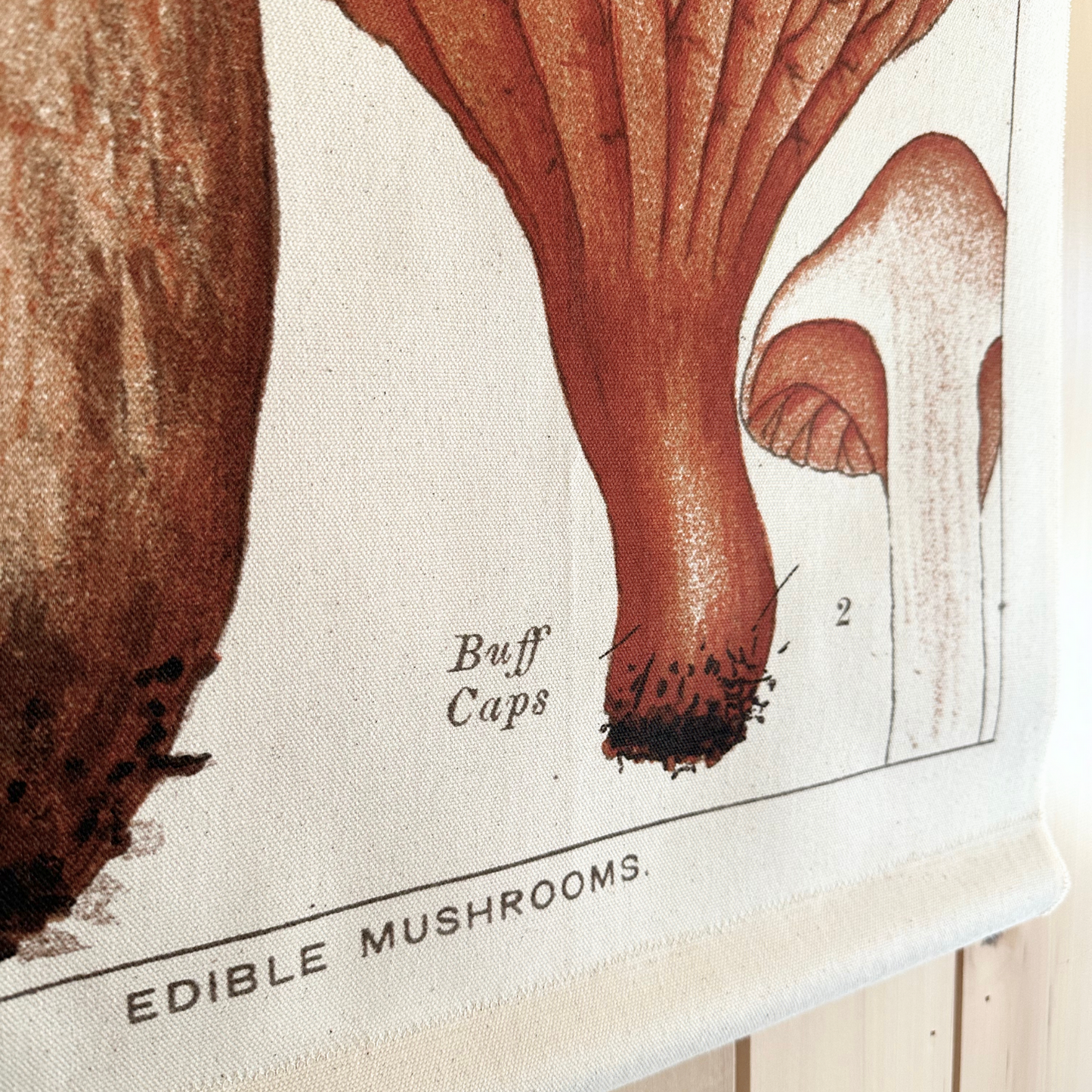 Canvas Wall Hanging - Bolete Mushroom