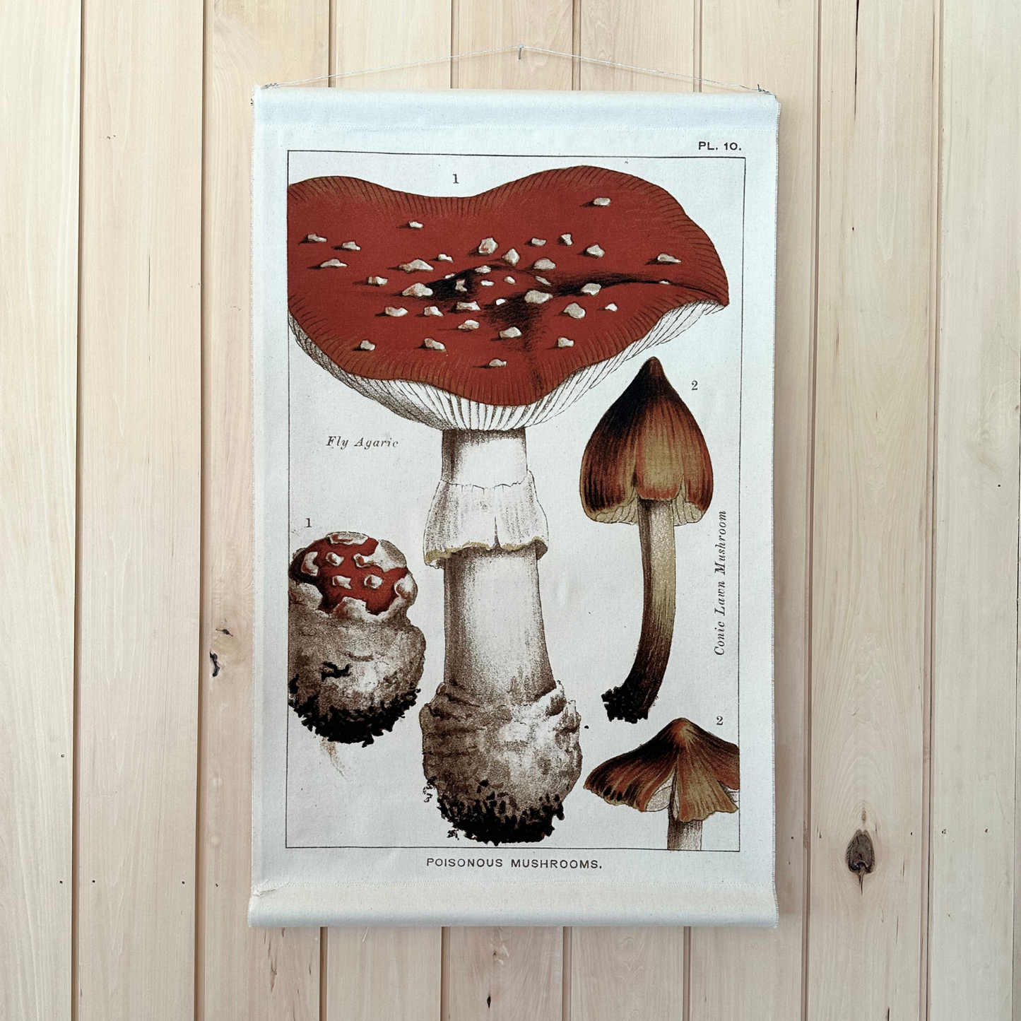 Fly Agaric Mushroom - Canvas Wall Hanging