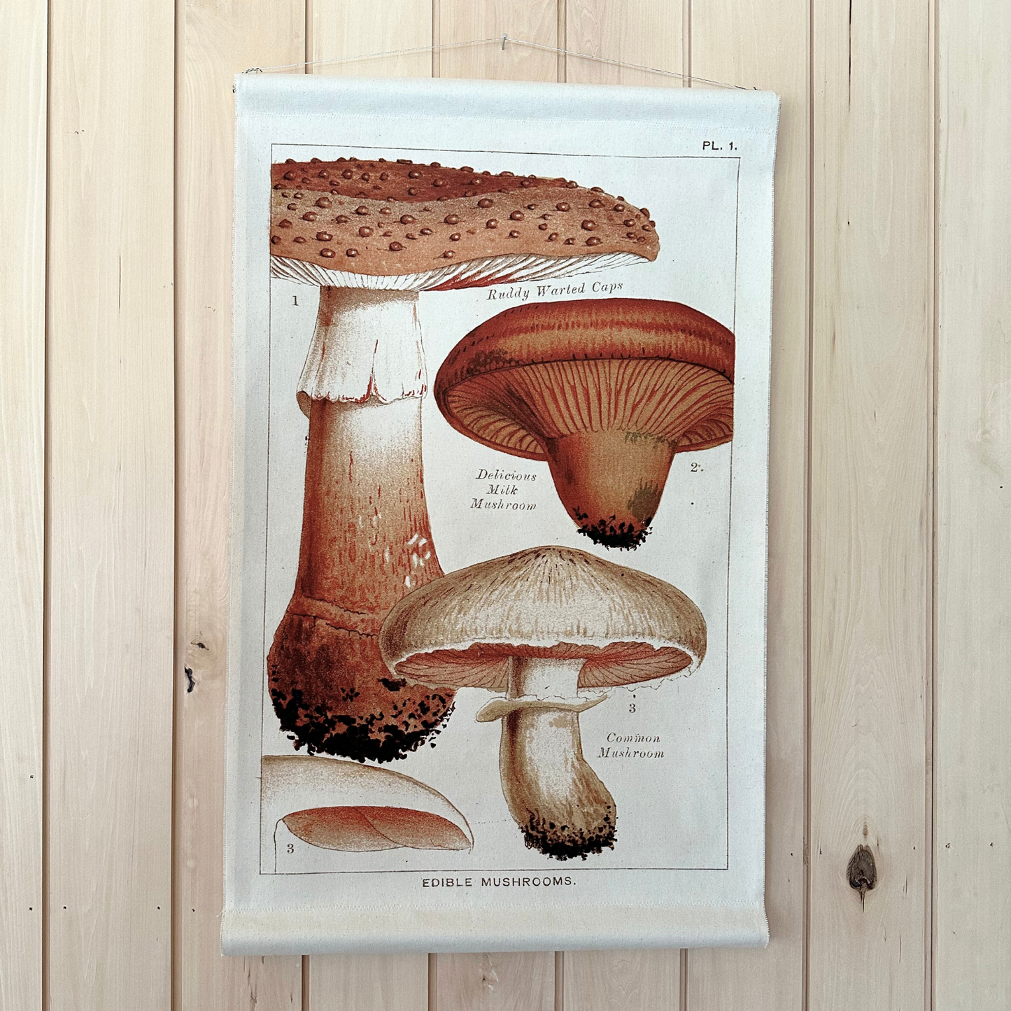 Milk Mushroom - Canvas Wall Hanging