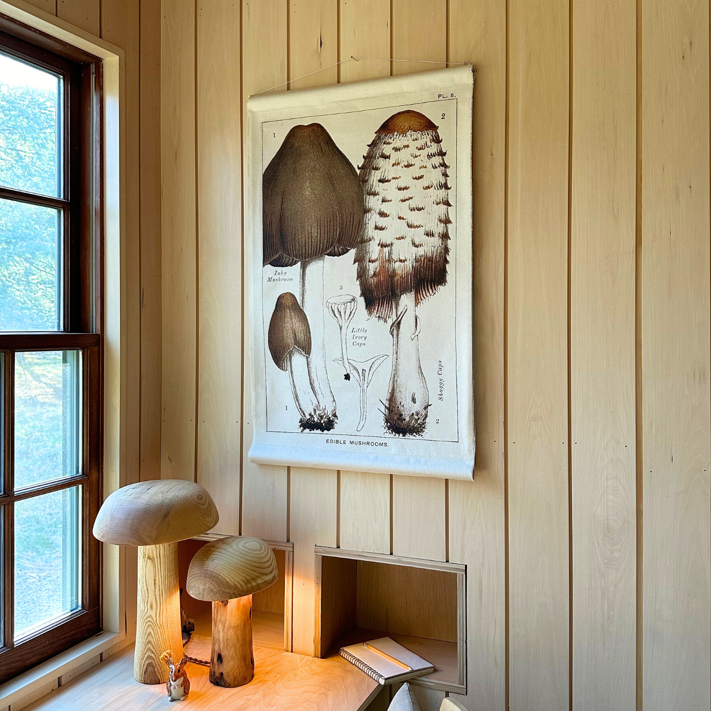Shaggy Cap Mushroom - Canvas Wall Hanging