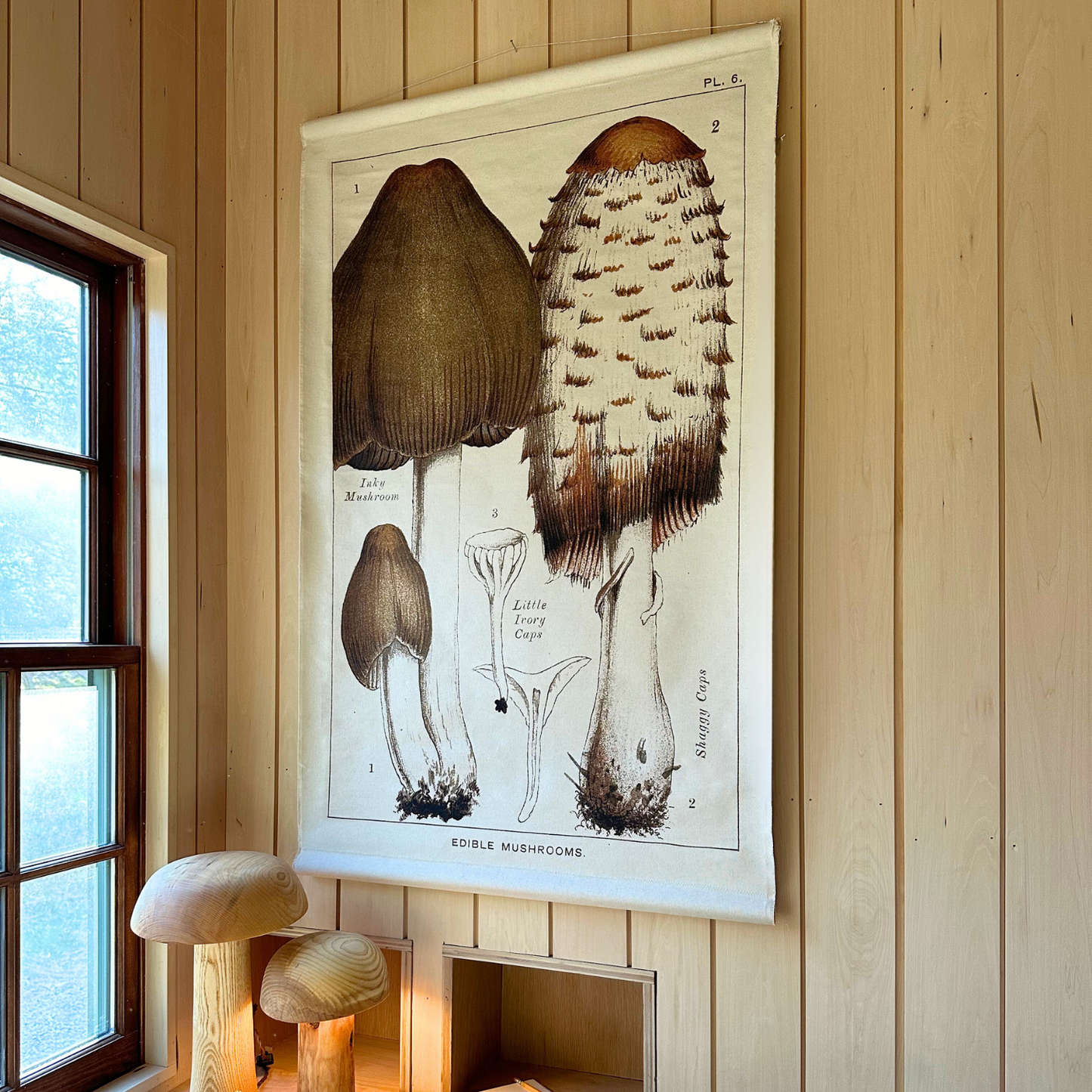 Canvas Wall Hanging - Shaggy Cap Mushroom
