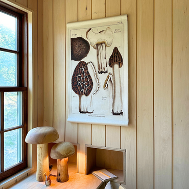 Canvas Wall Hanging - Morel Mushroom