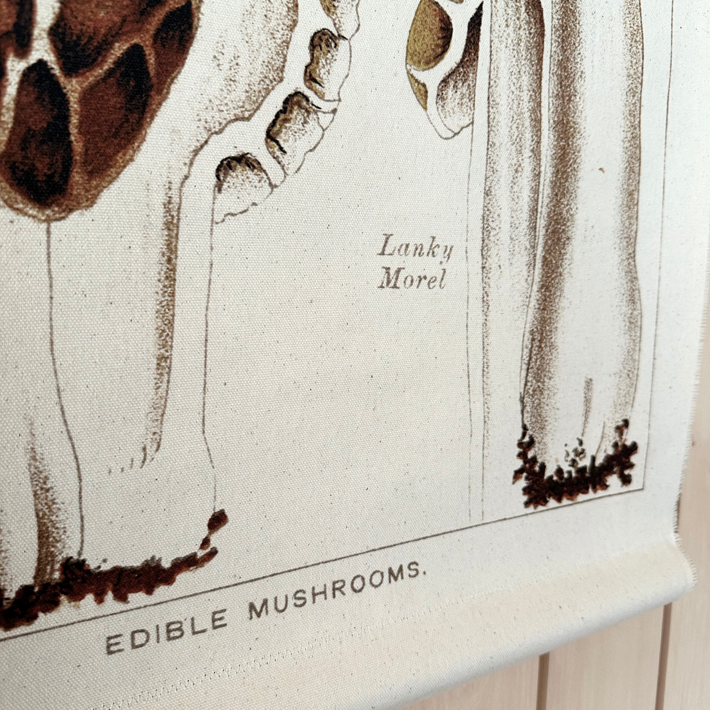 Morel Mushroom - Canvas Wall Hanging