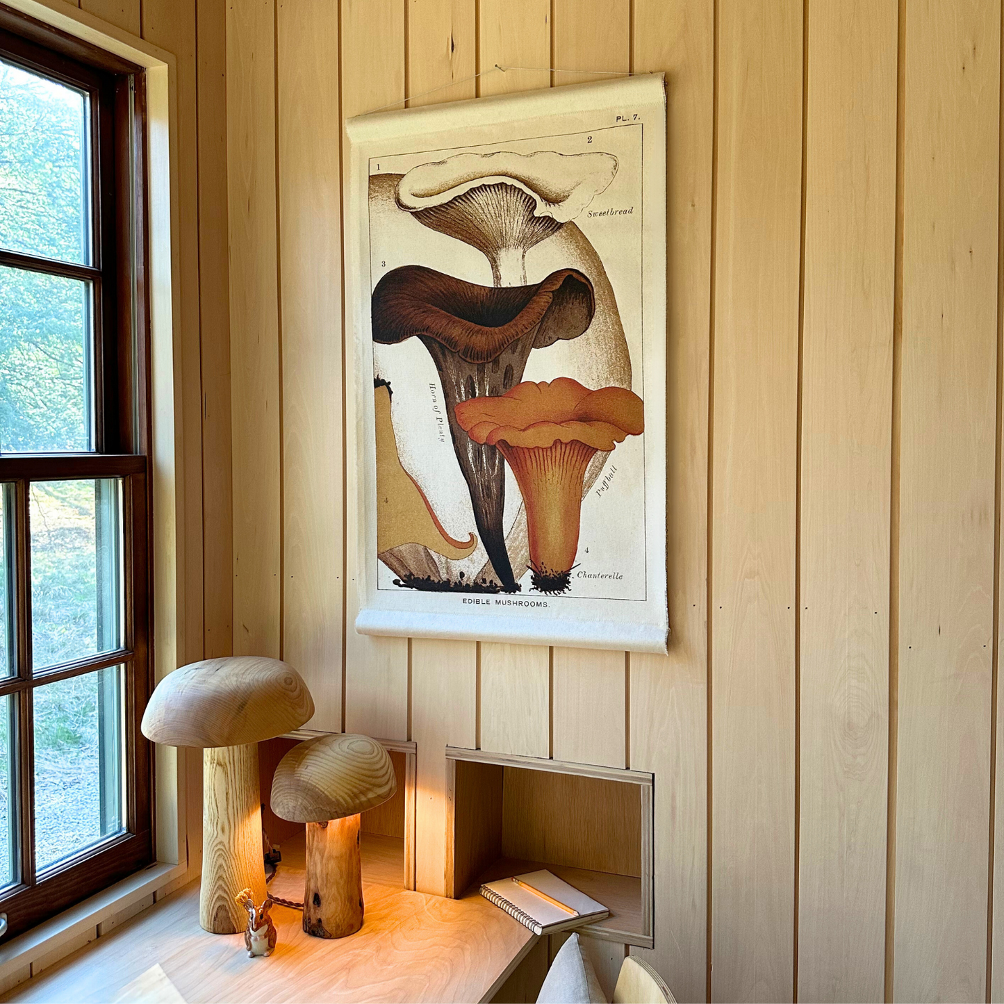 Chanterelle Mushroom - Canvas Wall Hanging