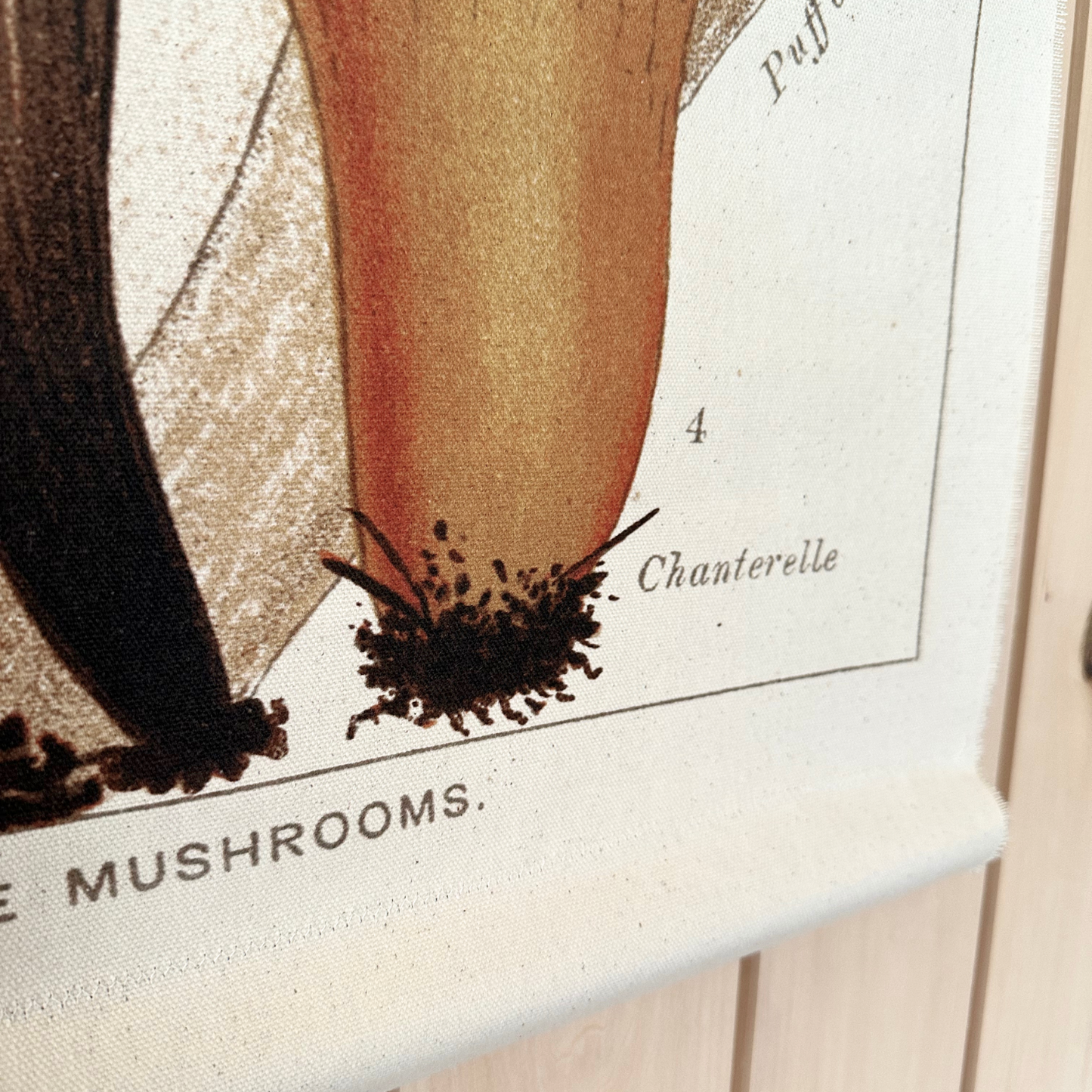 Chanterelle Mushroom - Canvas Wall Hanging