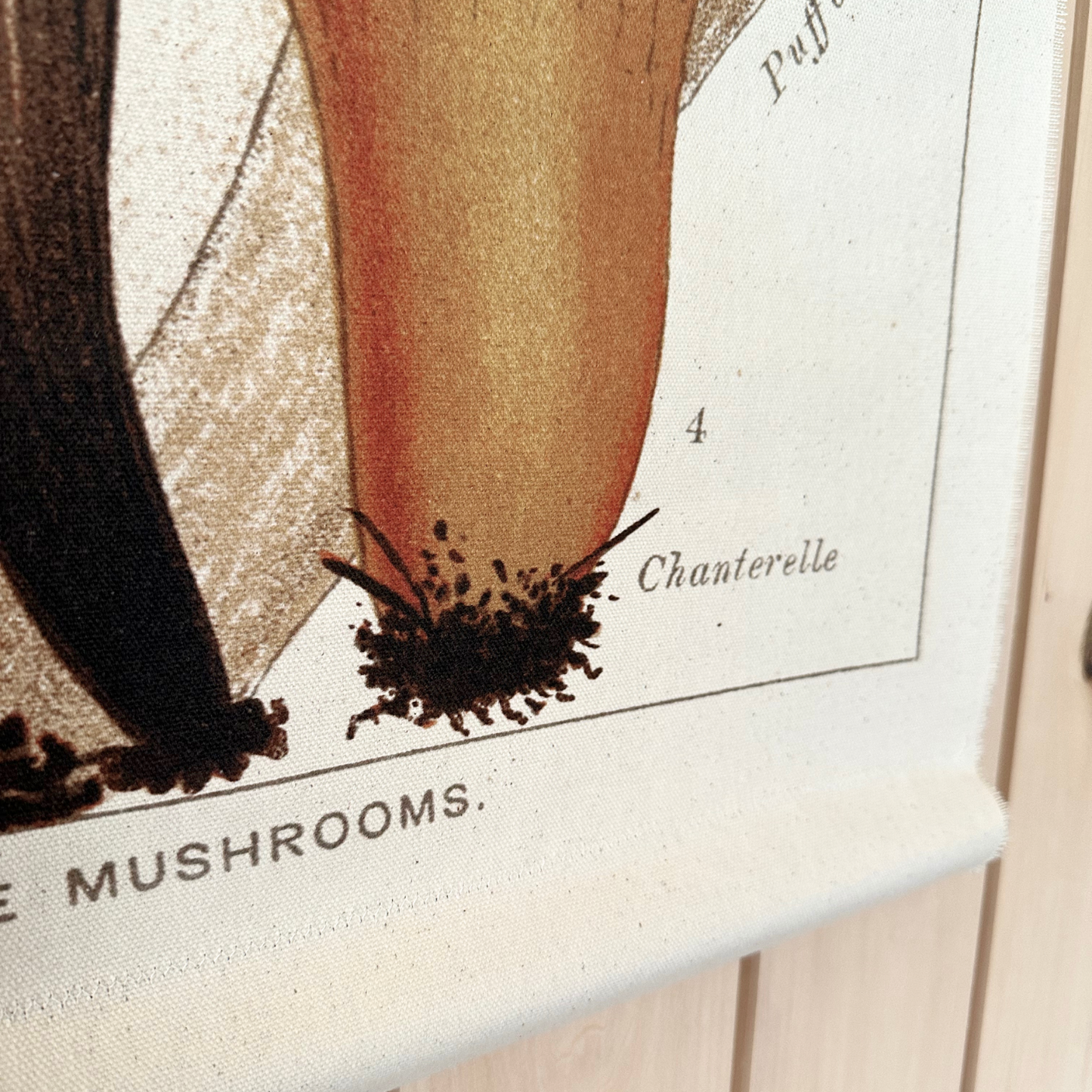 Canvas Wall Hanging - Chanterelle Mushroom
