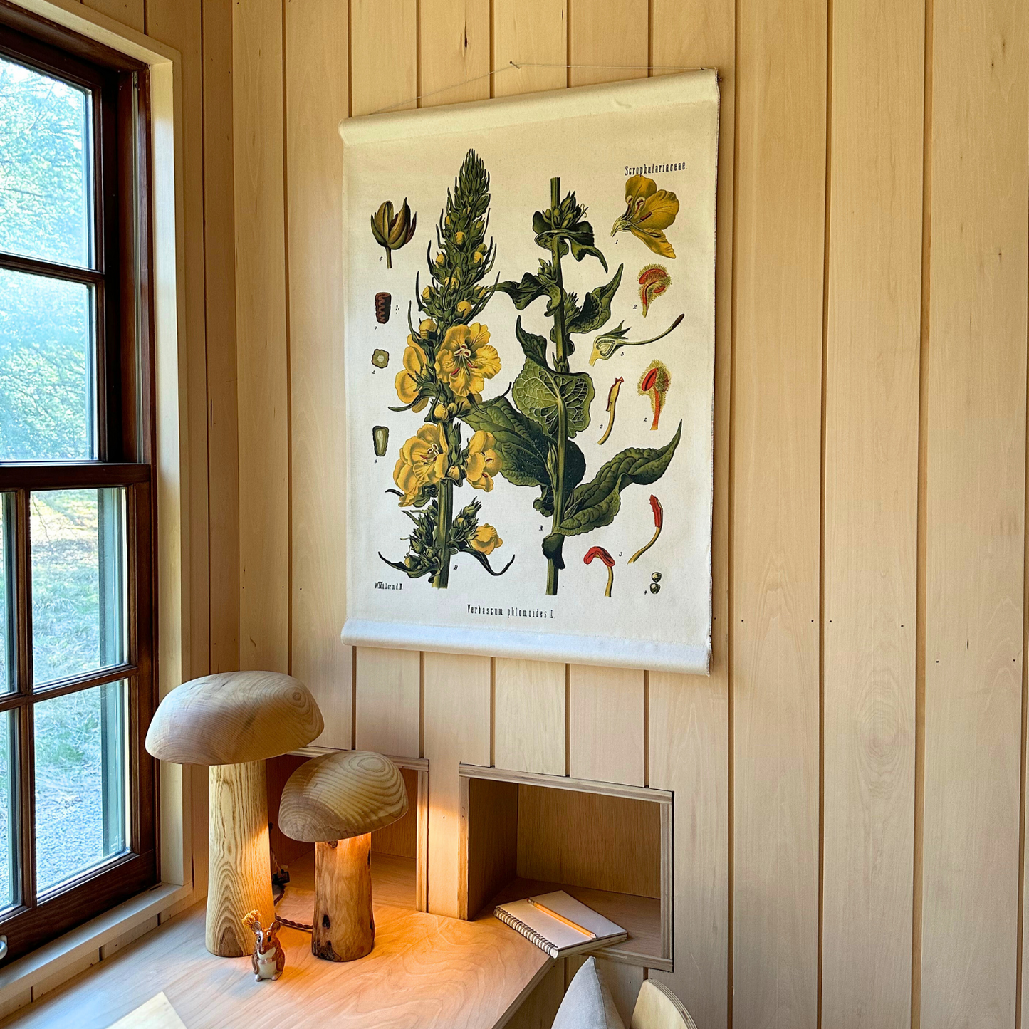 Canvas Wall Hanging - Wolly Mullein Flower