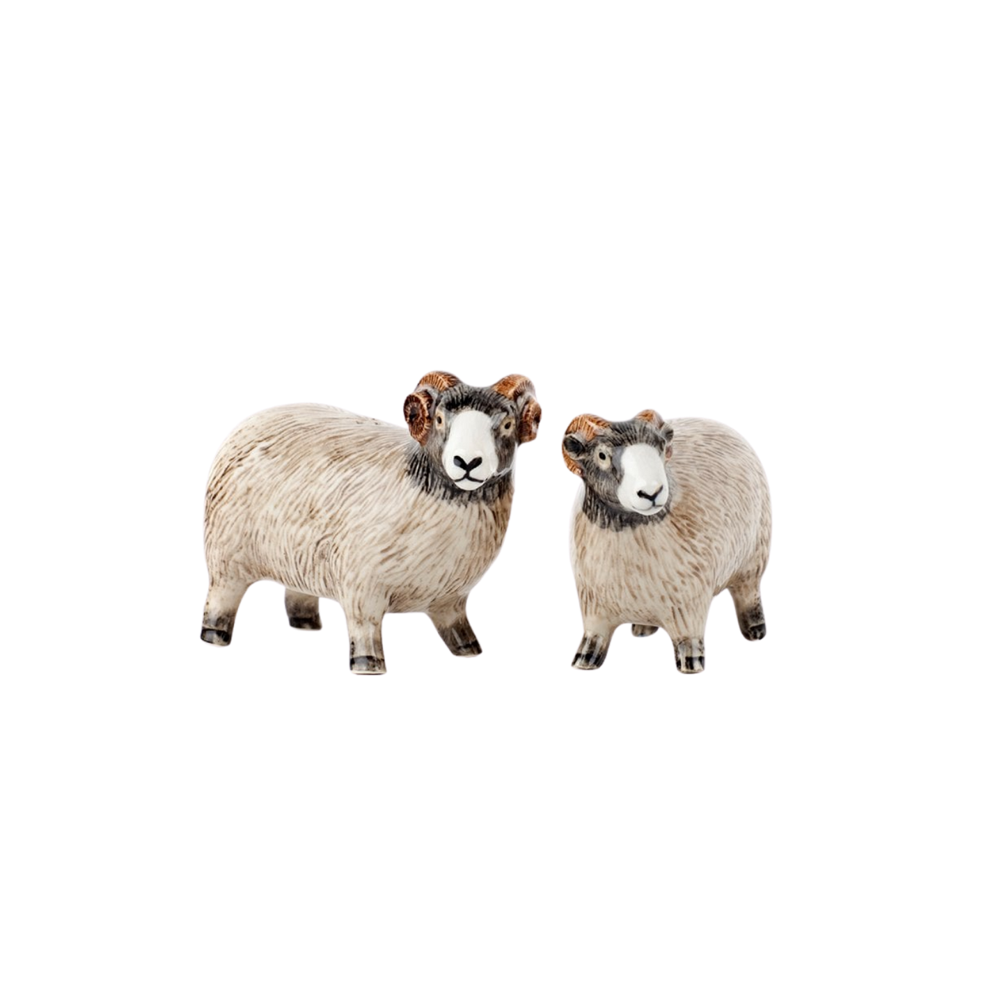 Swaledale sheep salt and pepper shaker