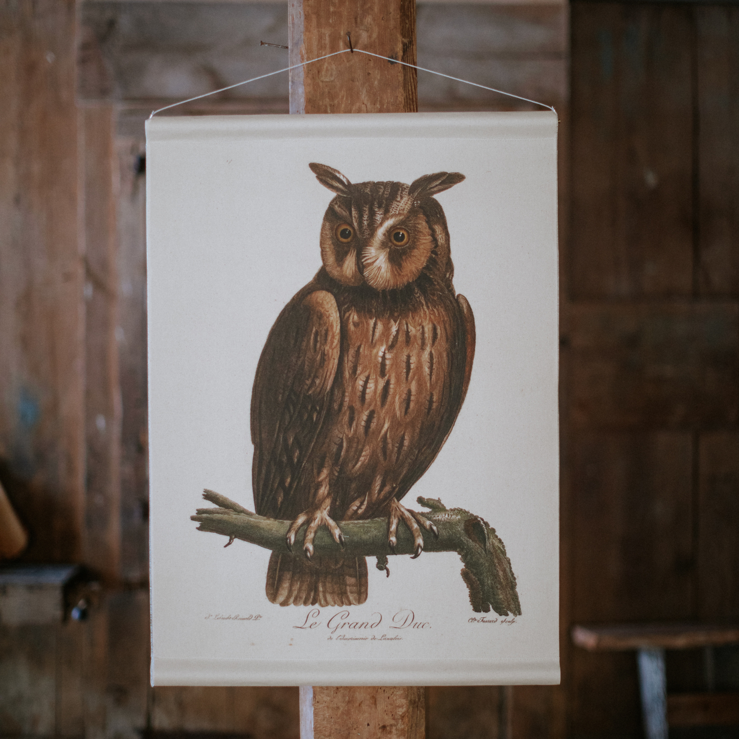 Great Horned Owl (Le Grand Duc) - Canvas Wall Hanging
