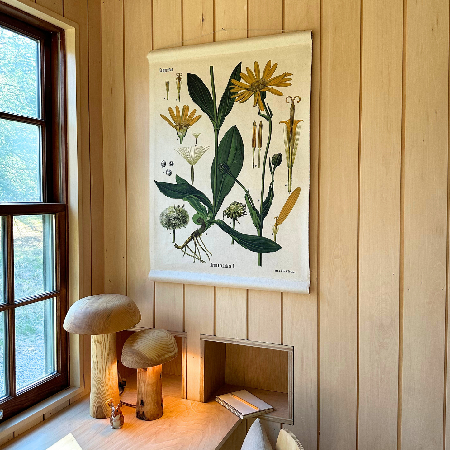 Arnica Flower - Canvas Wall Hanging