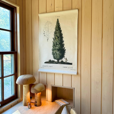 Canvas Wall Hanging - Cypress Tree