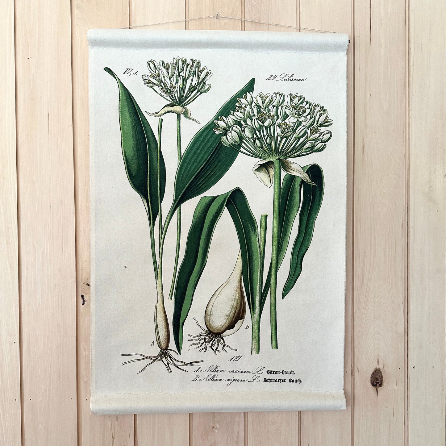 Canvas Wall Hanging - Wild Garlic / Ramp