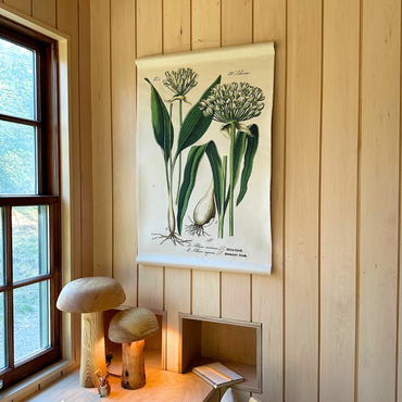 Canvas Wall Hanging - Wild Garlic / Ramp