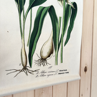Canvas Wall Hanging - Wild Garlic / Ramp