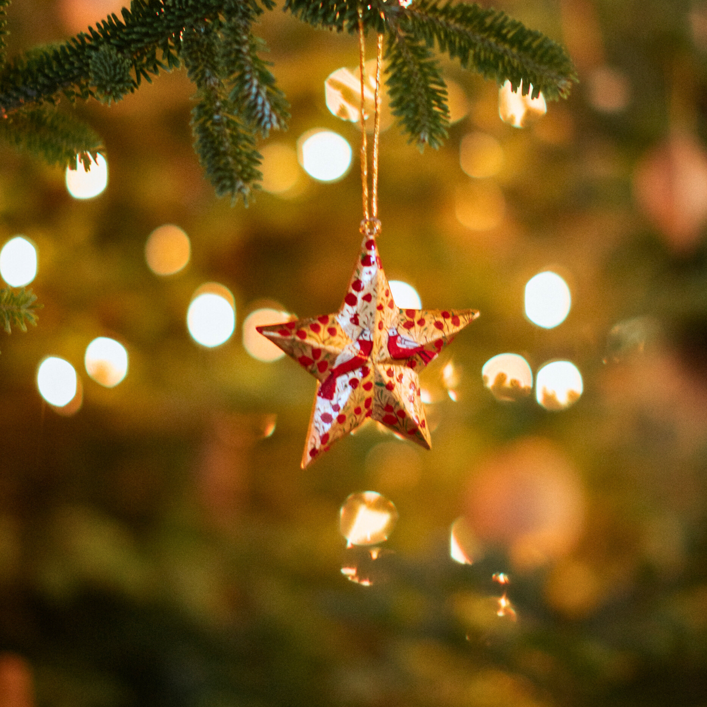 Red and Gold Bird Hanging Star Ornament