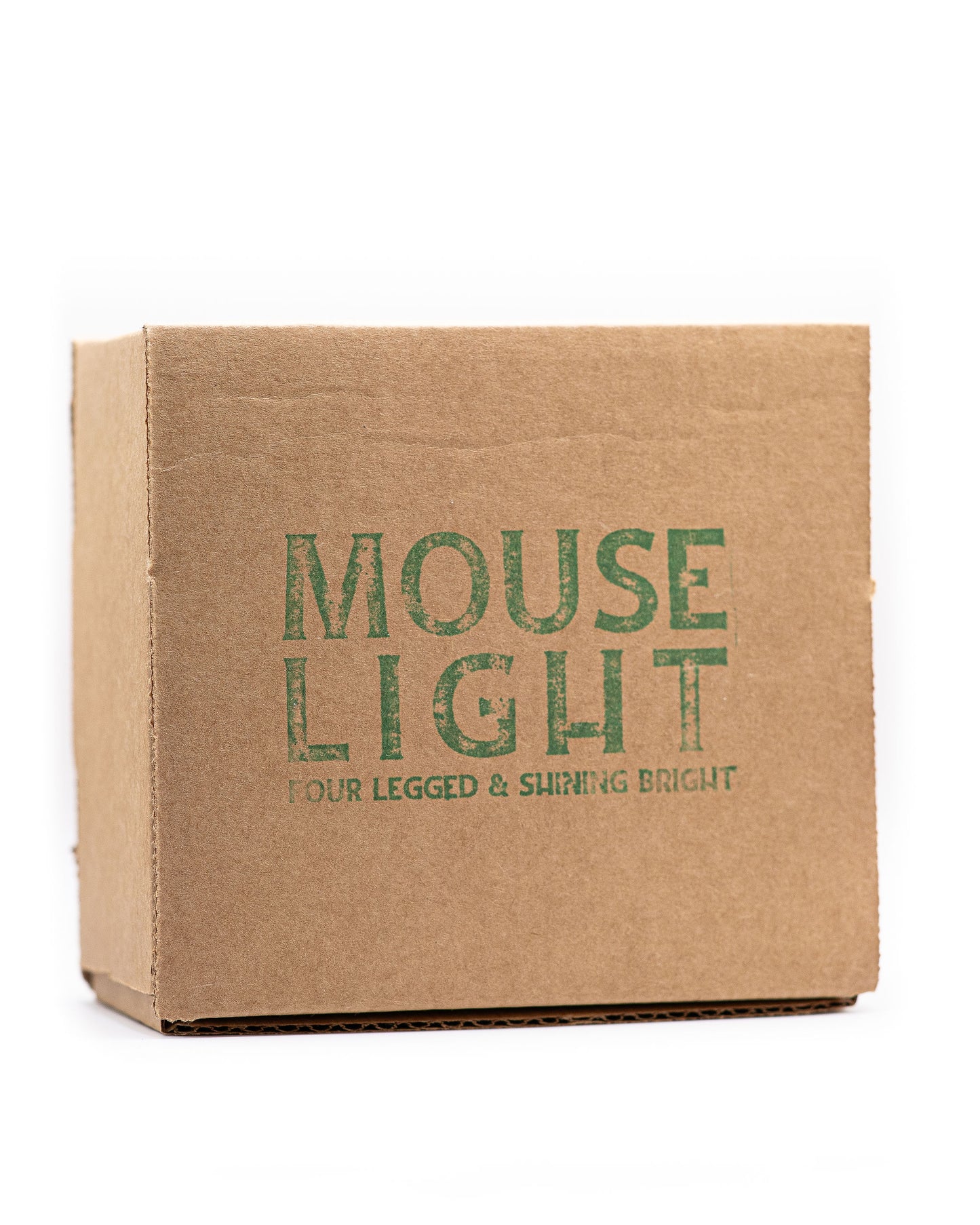 Mouse Lights