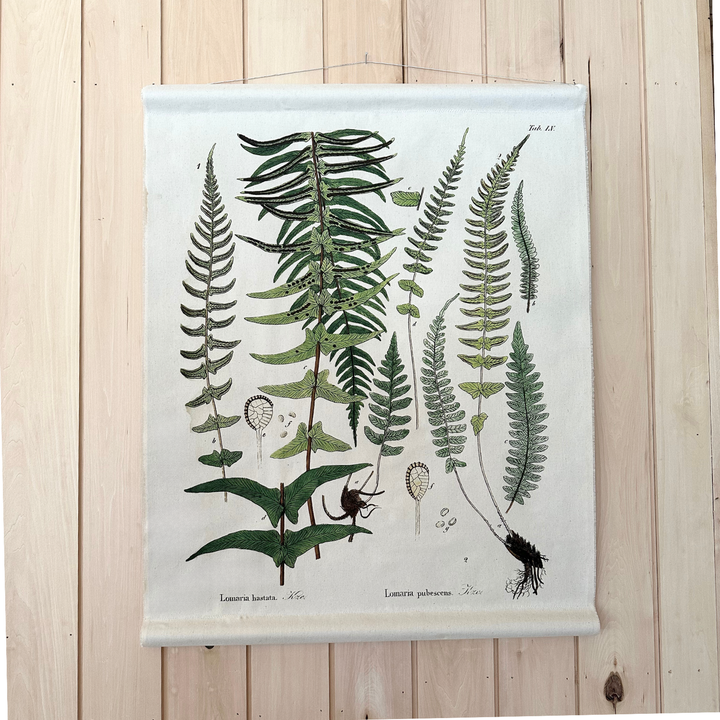 Felt Fern - Canvas Wall Hanging