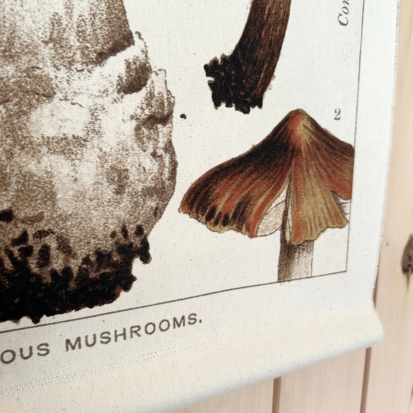 Fly Agaric Mushroom - Canvas Wall Hanging