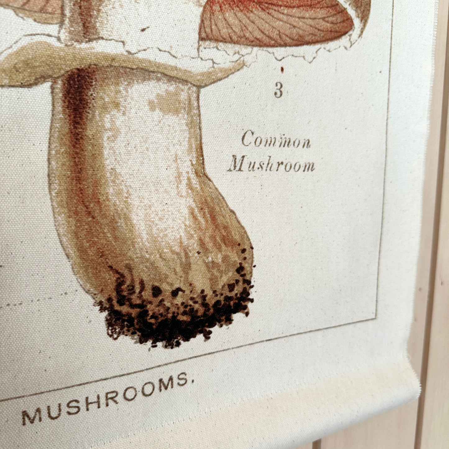 Milk Mushroom - Canvas Wall Hanging
