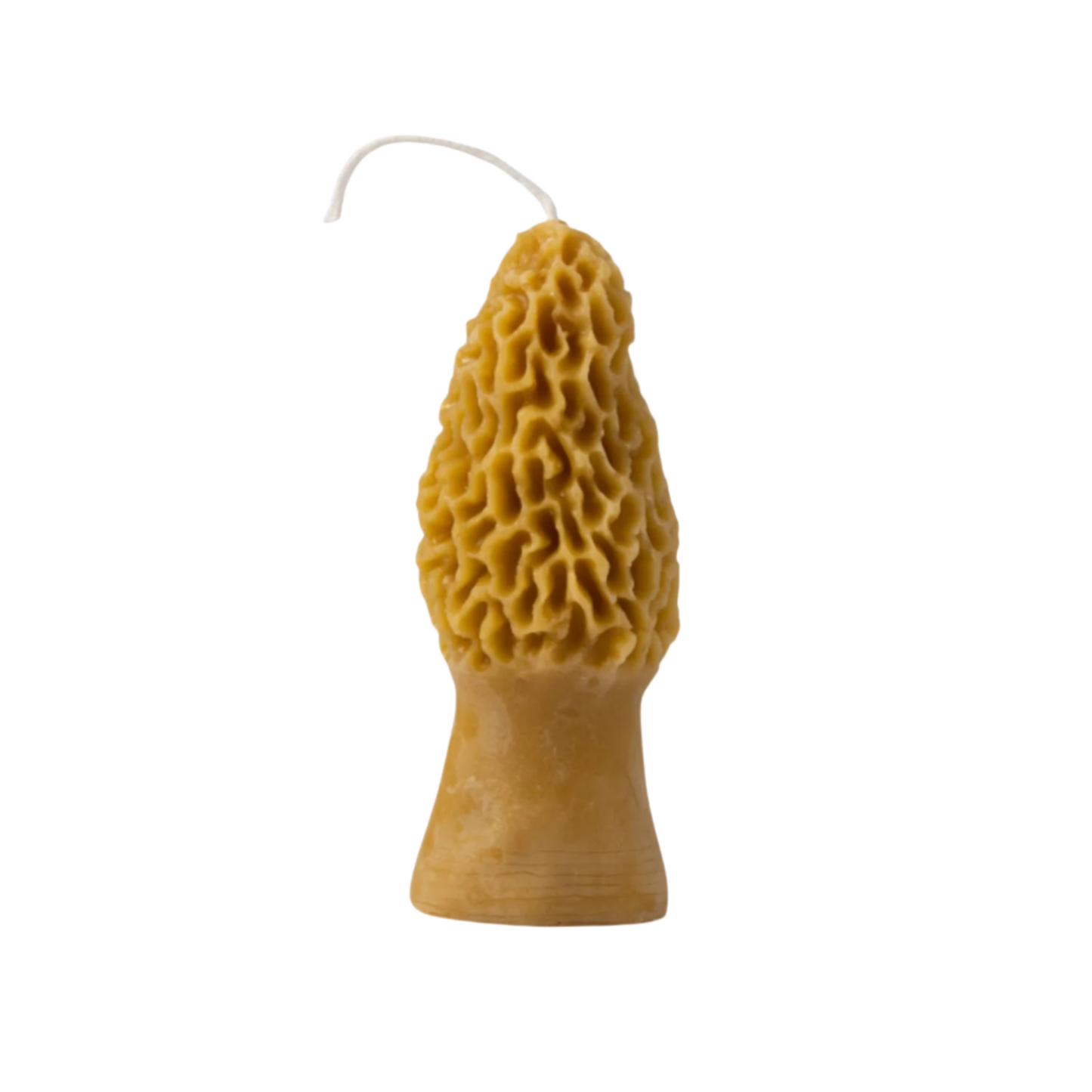 Morel Beeswax Candle