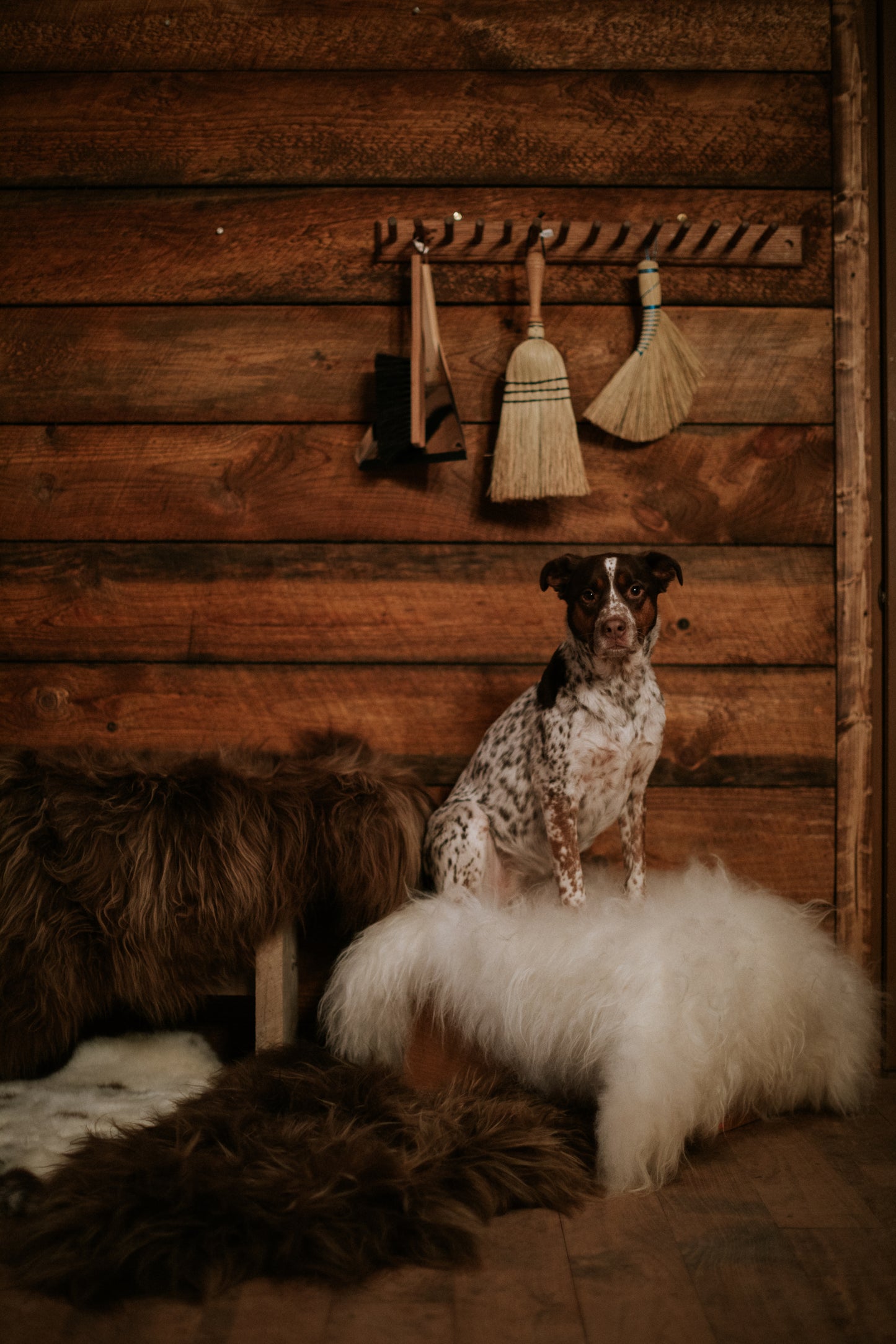 Icelandic White Long Sheepskin