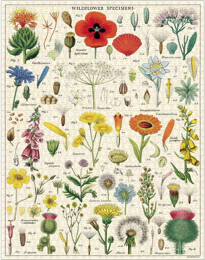 Cavallini Wildflower Puzzle
