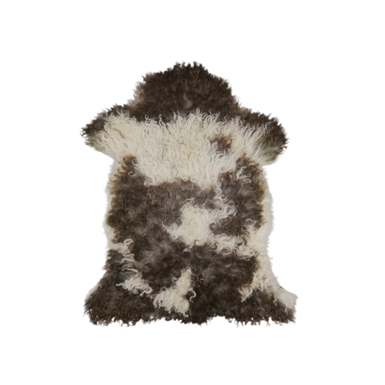 Austrian Curlcoat Sheepskin
