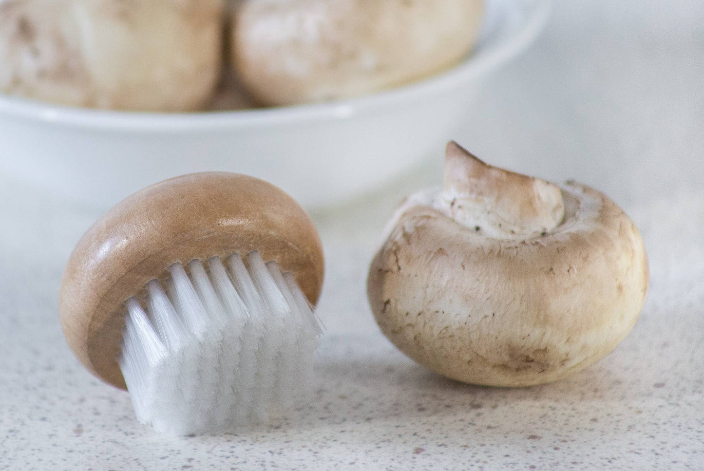 Mushroom Brush